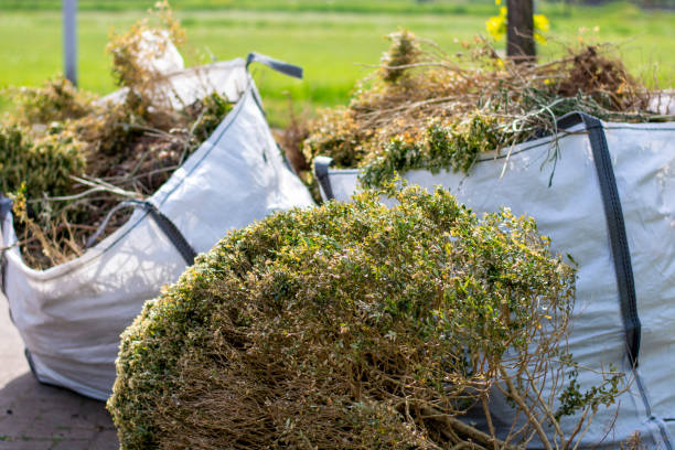 Best Junk Removal Near Me  in Kgsford Heights, IN